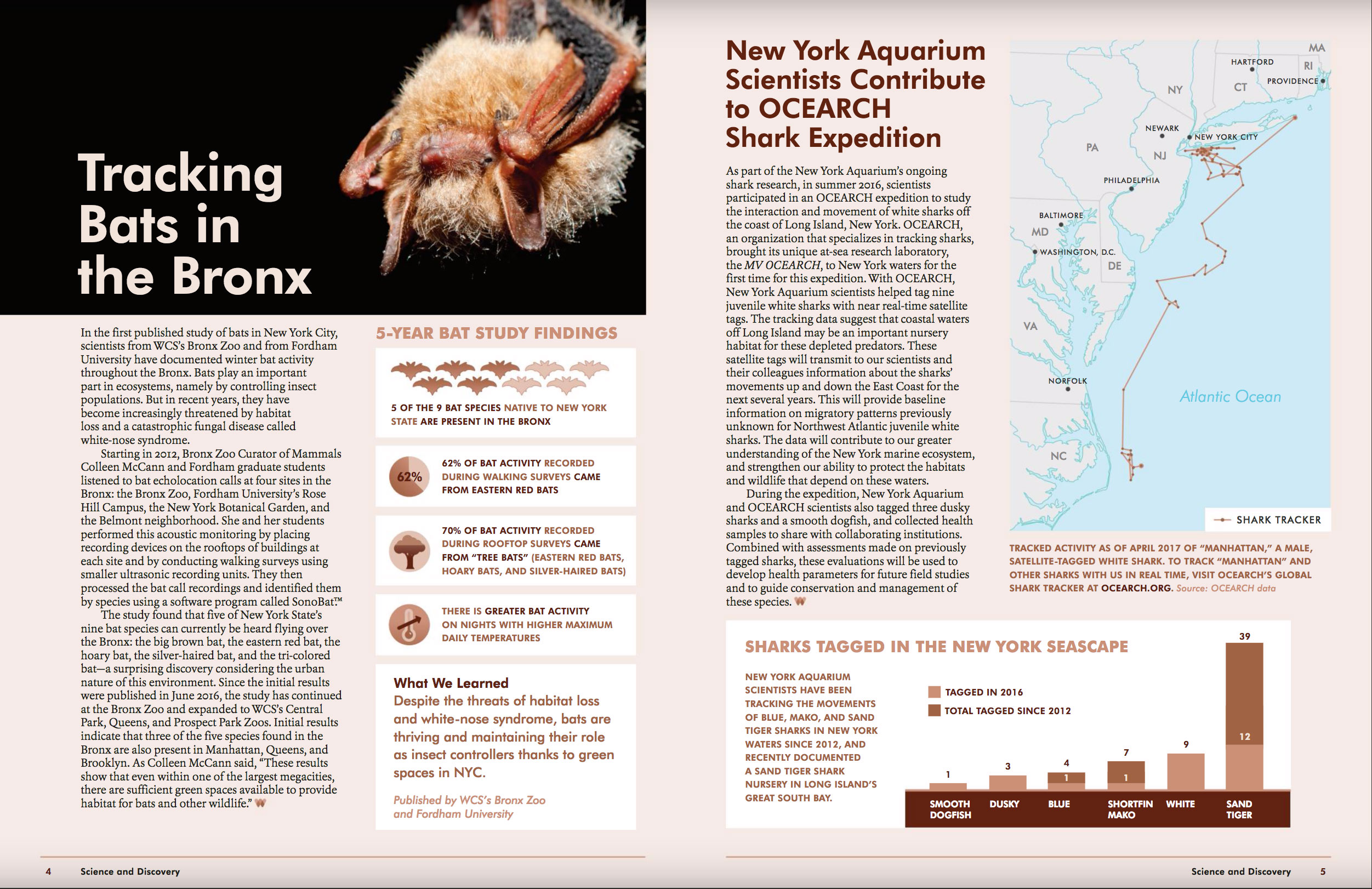 Spread with many data visualizations